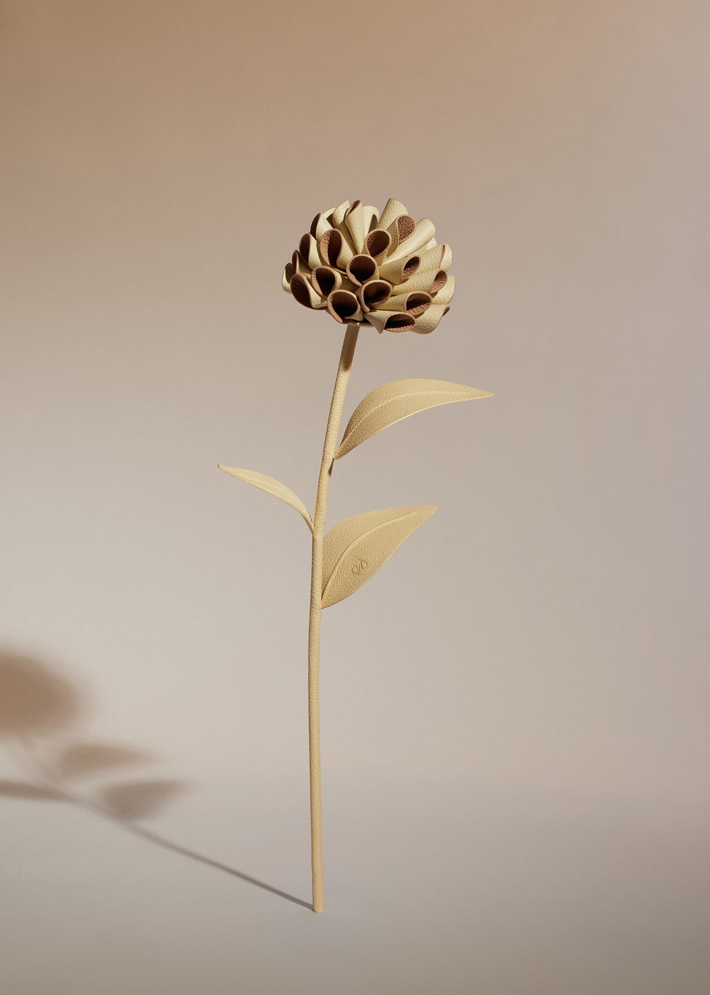 Fleur Dalium - Duo Blé Grainé