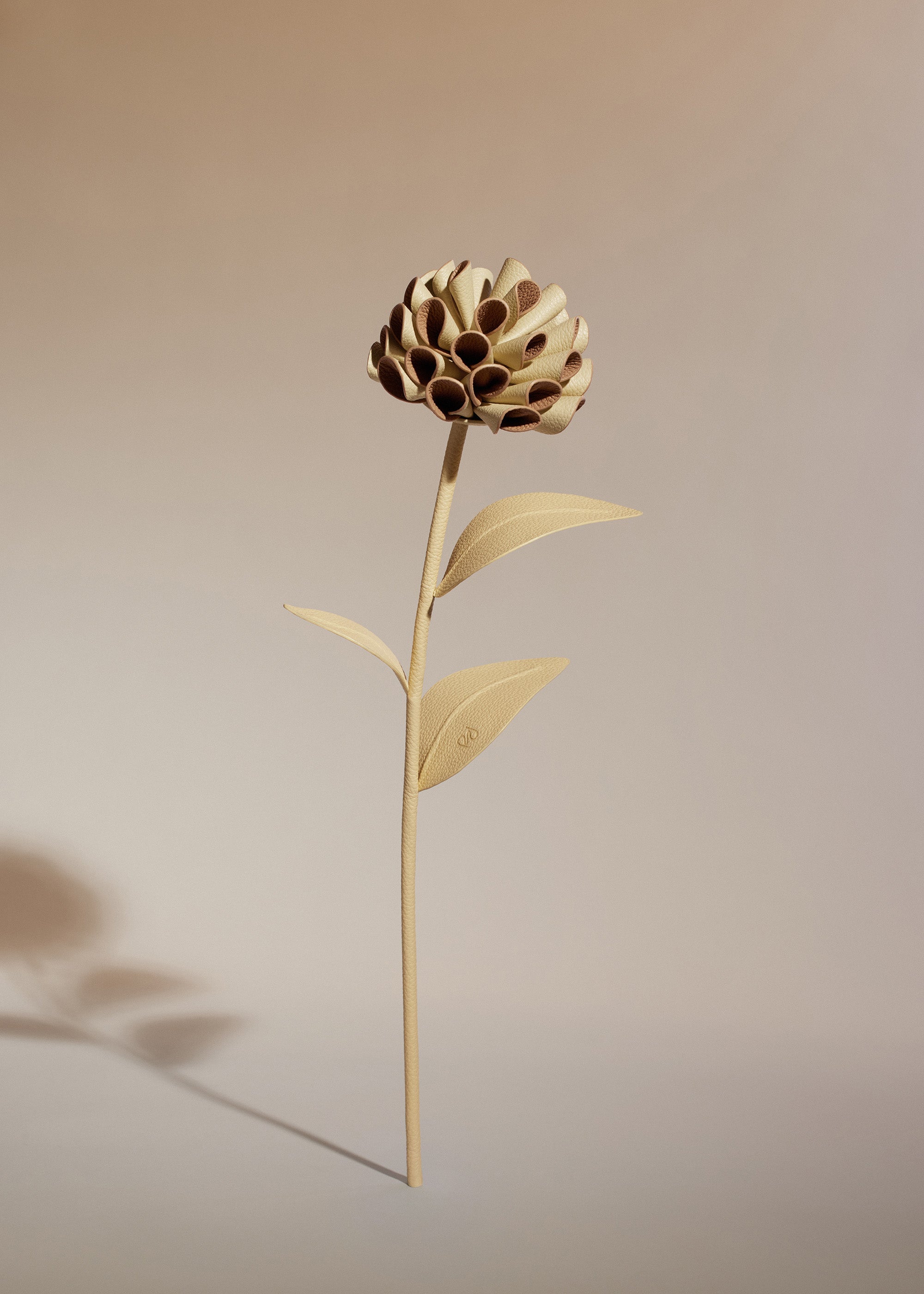 Fleur Dalium - Duo Blé Grainé