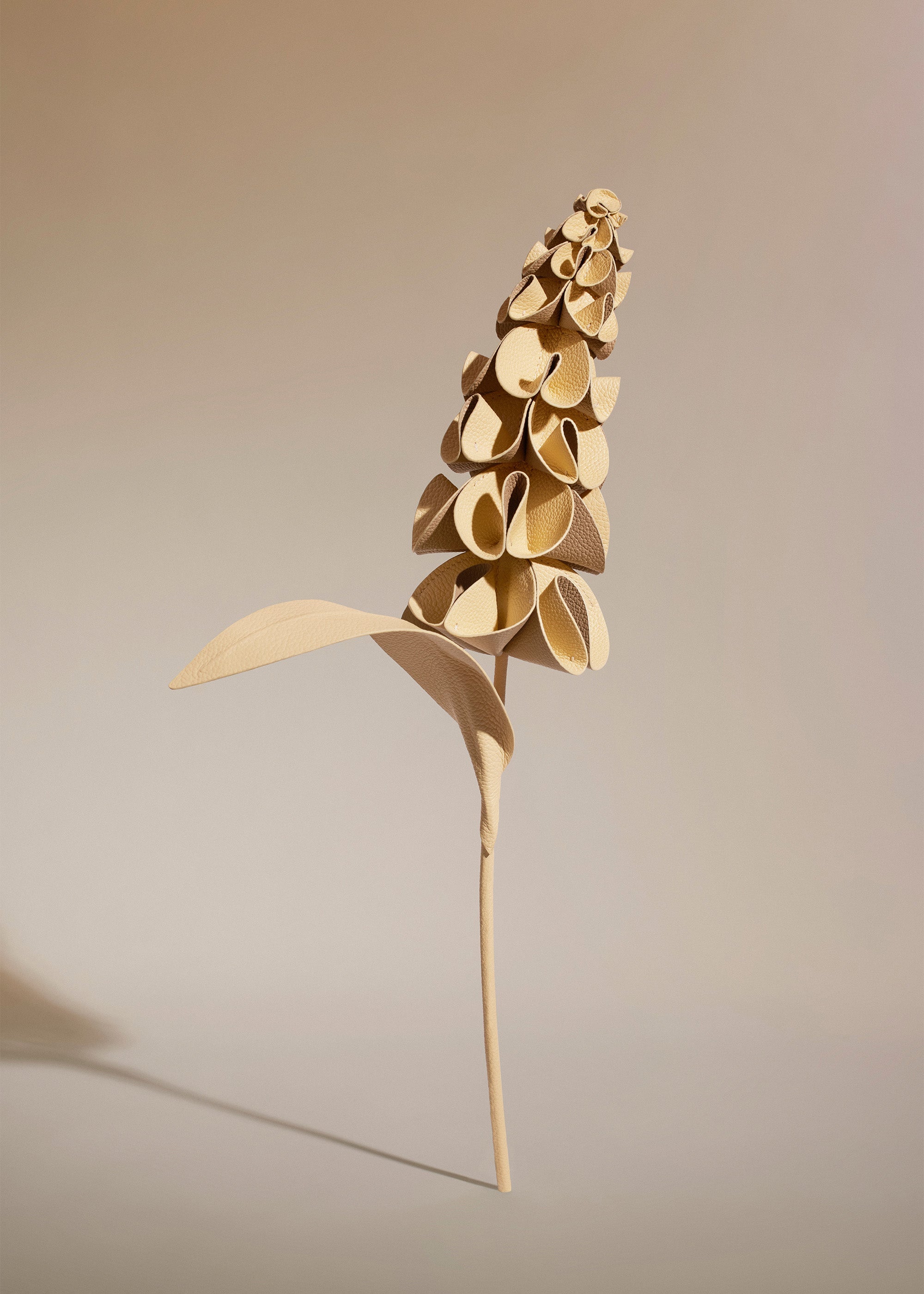 Fleur Orki - Duo Blé Grainé