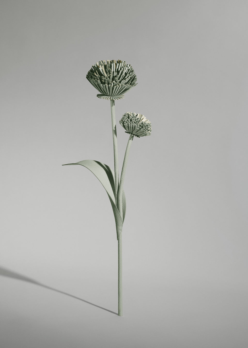 Fleur Tul - Duo Amande Fraîche