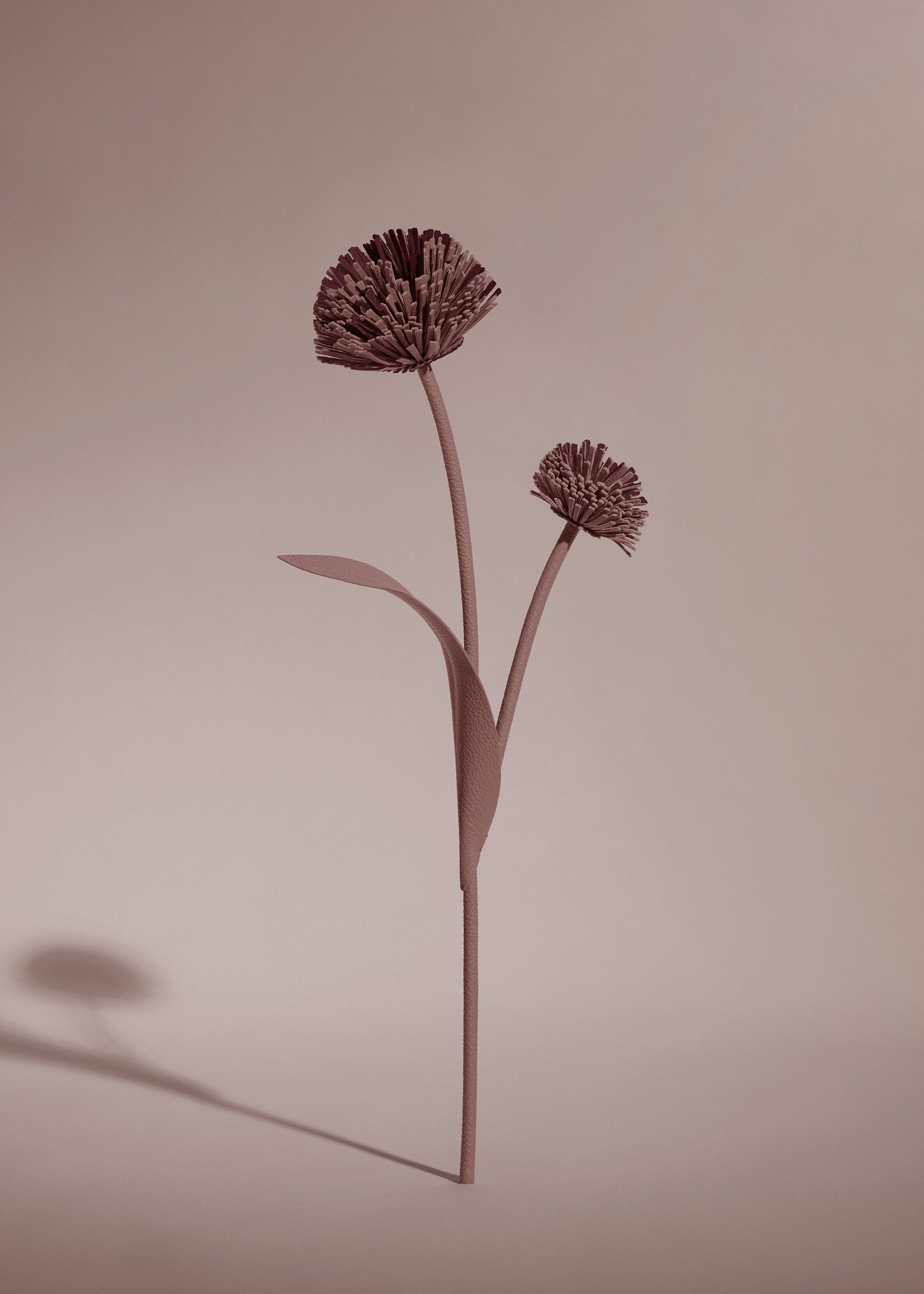 Fleur Tul - Duo Lilas