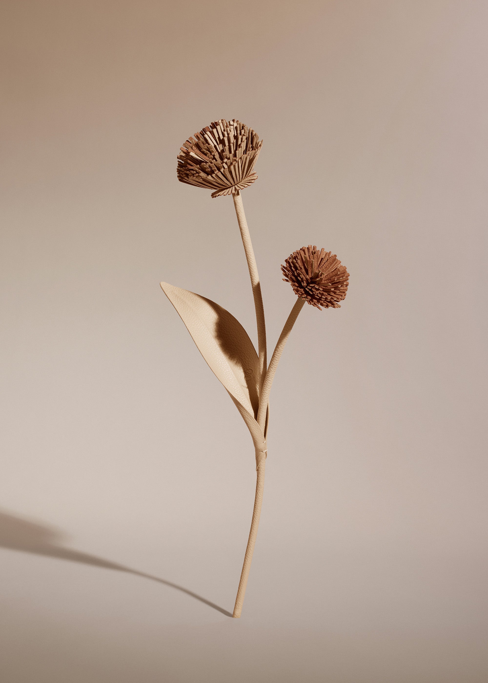 Fleur Tul - Duo Beige