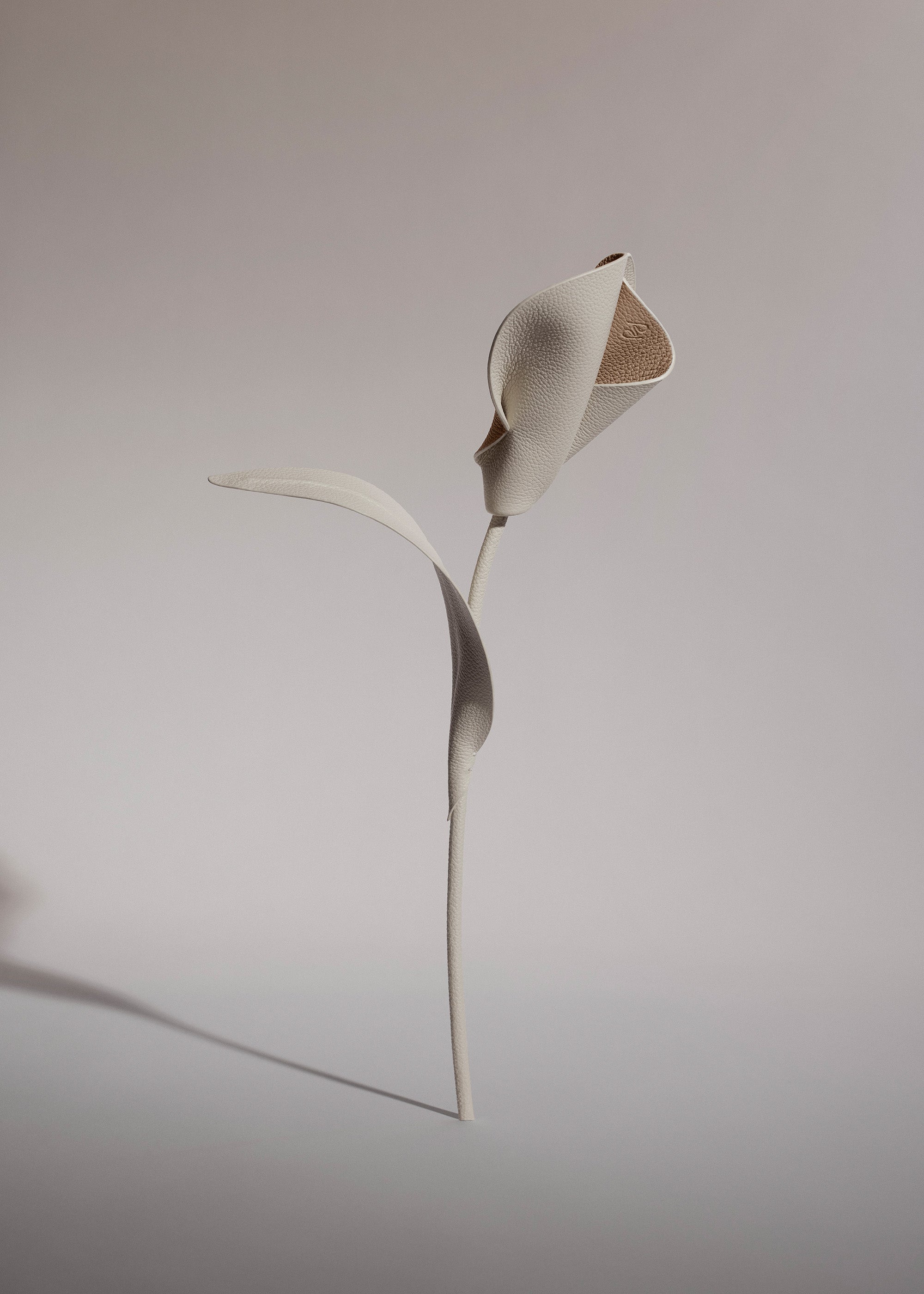 Fleur Pili - Duo Craie