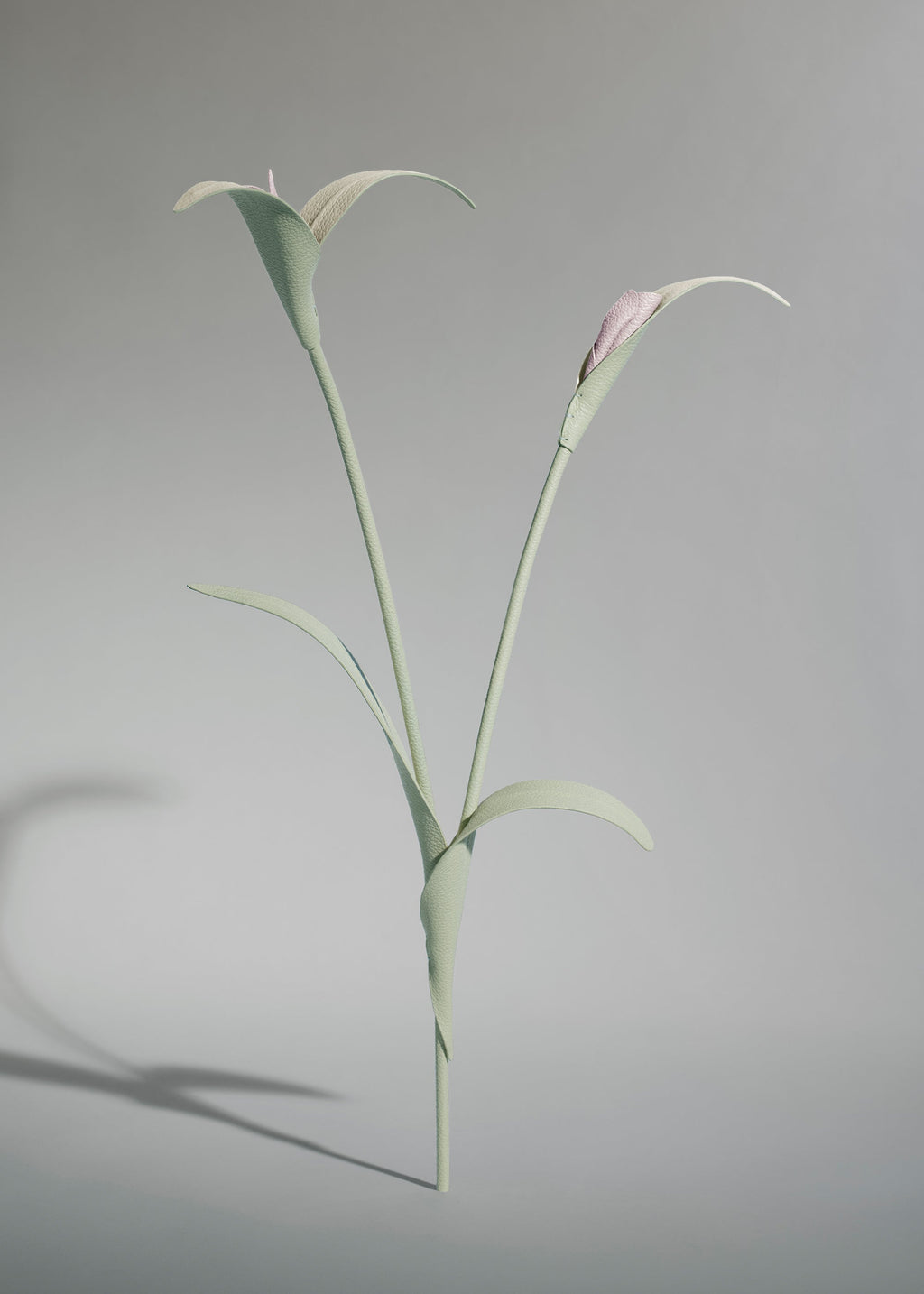 Fleur Touka - Trio Amande Fraîche