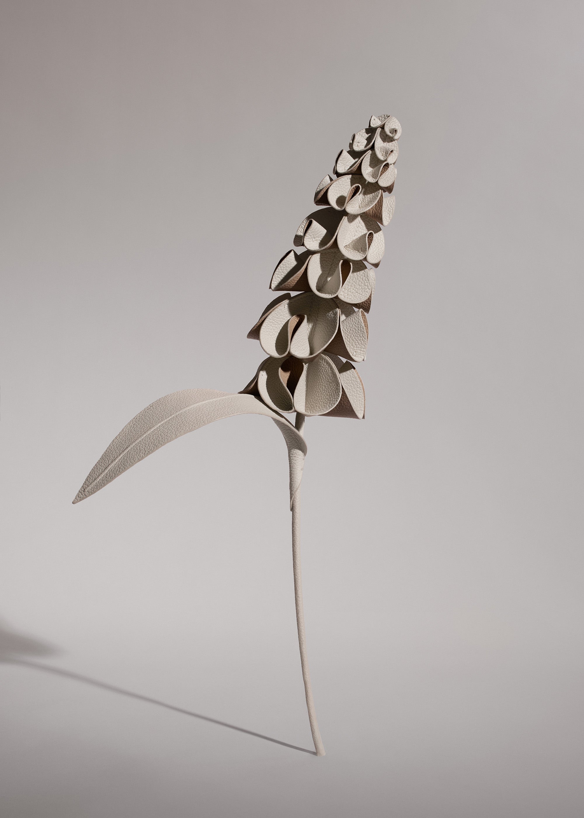 Fleur Orki - Duo Craie