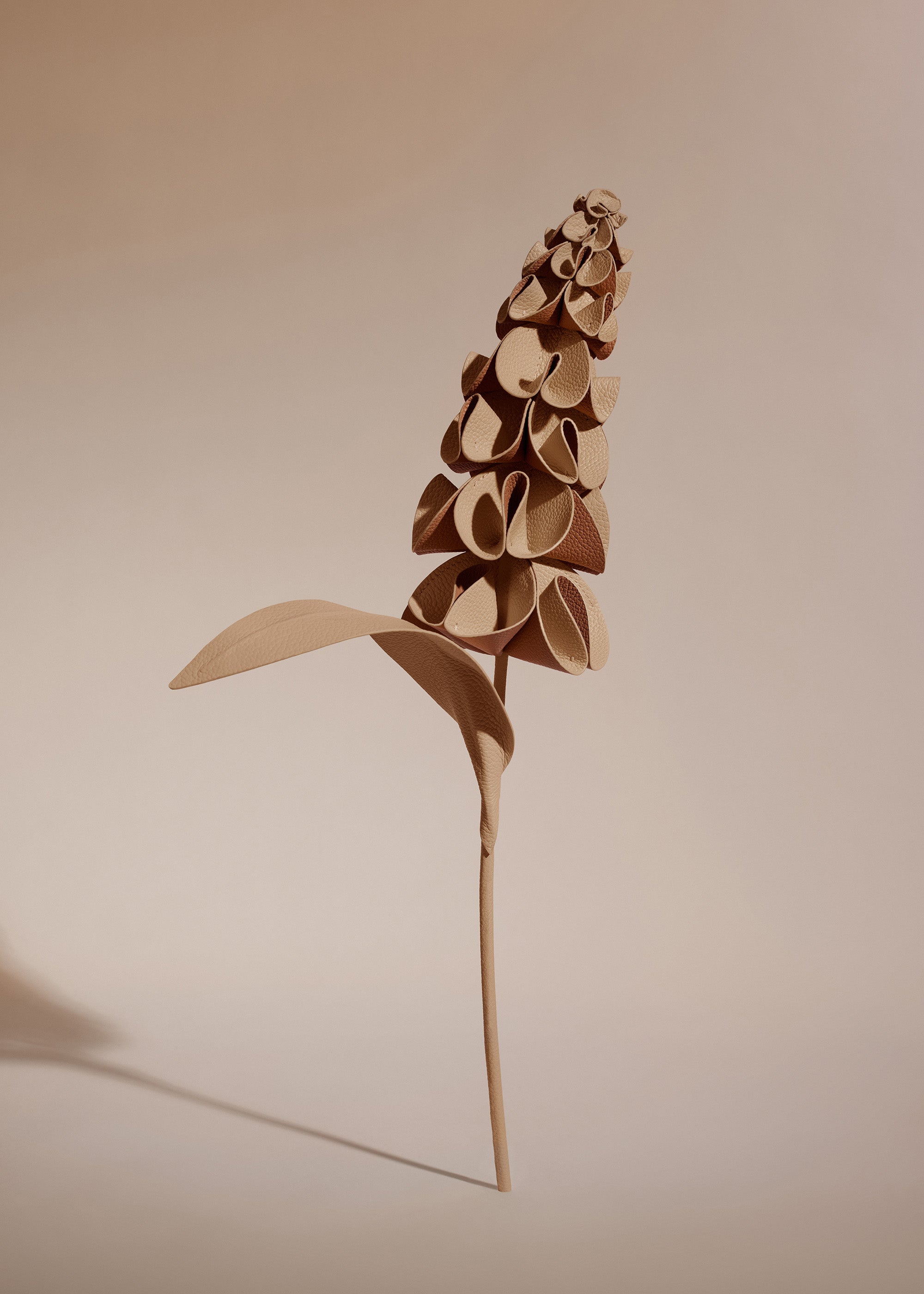 Fleur Orki - Duo Beige