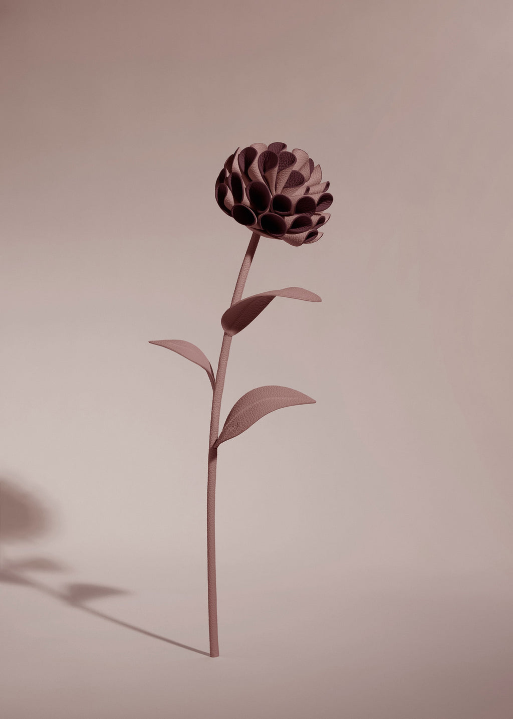 Fleur Dalium - Duo Lilas