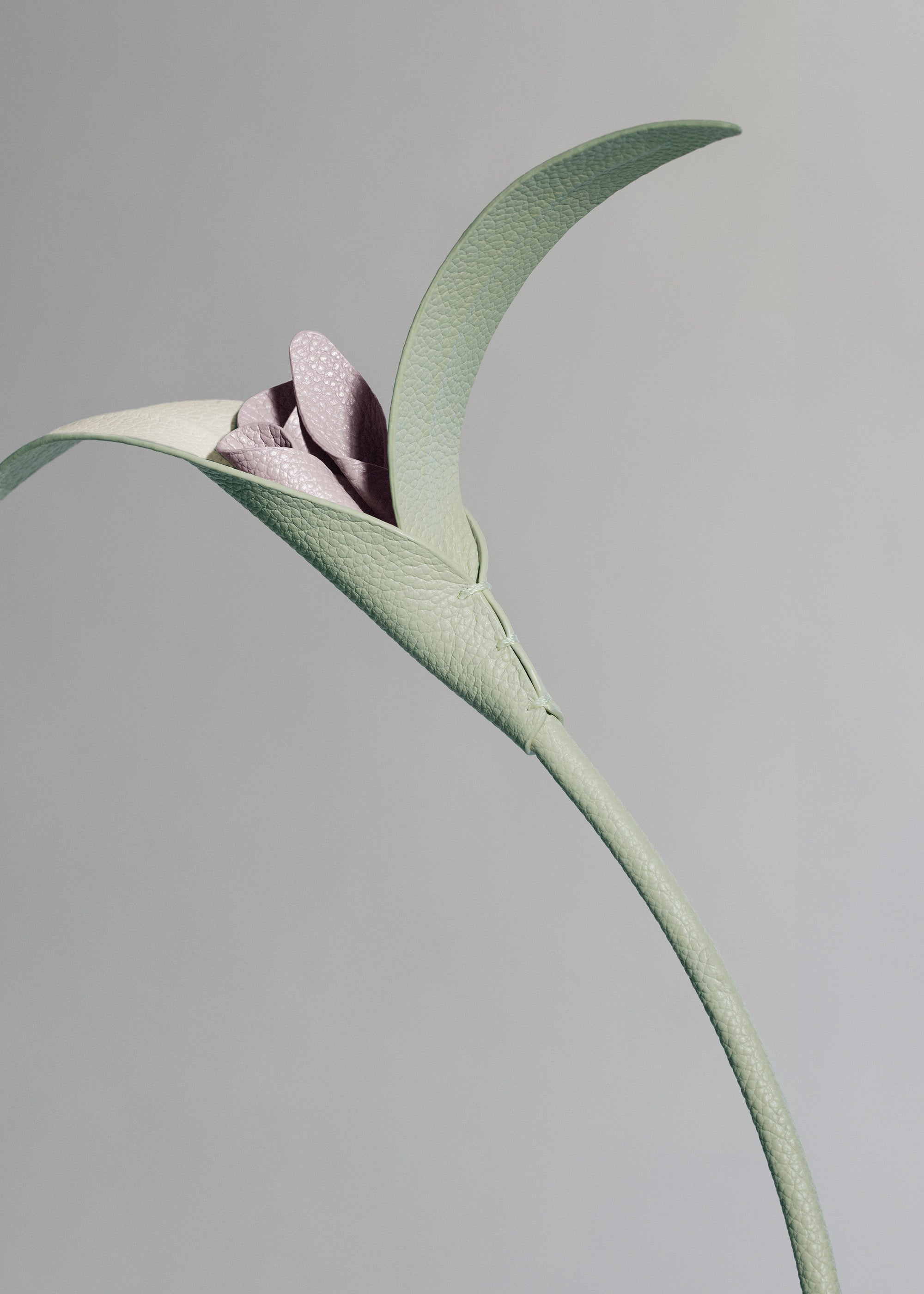 Fleur Touka - Trio Amande Fraîche