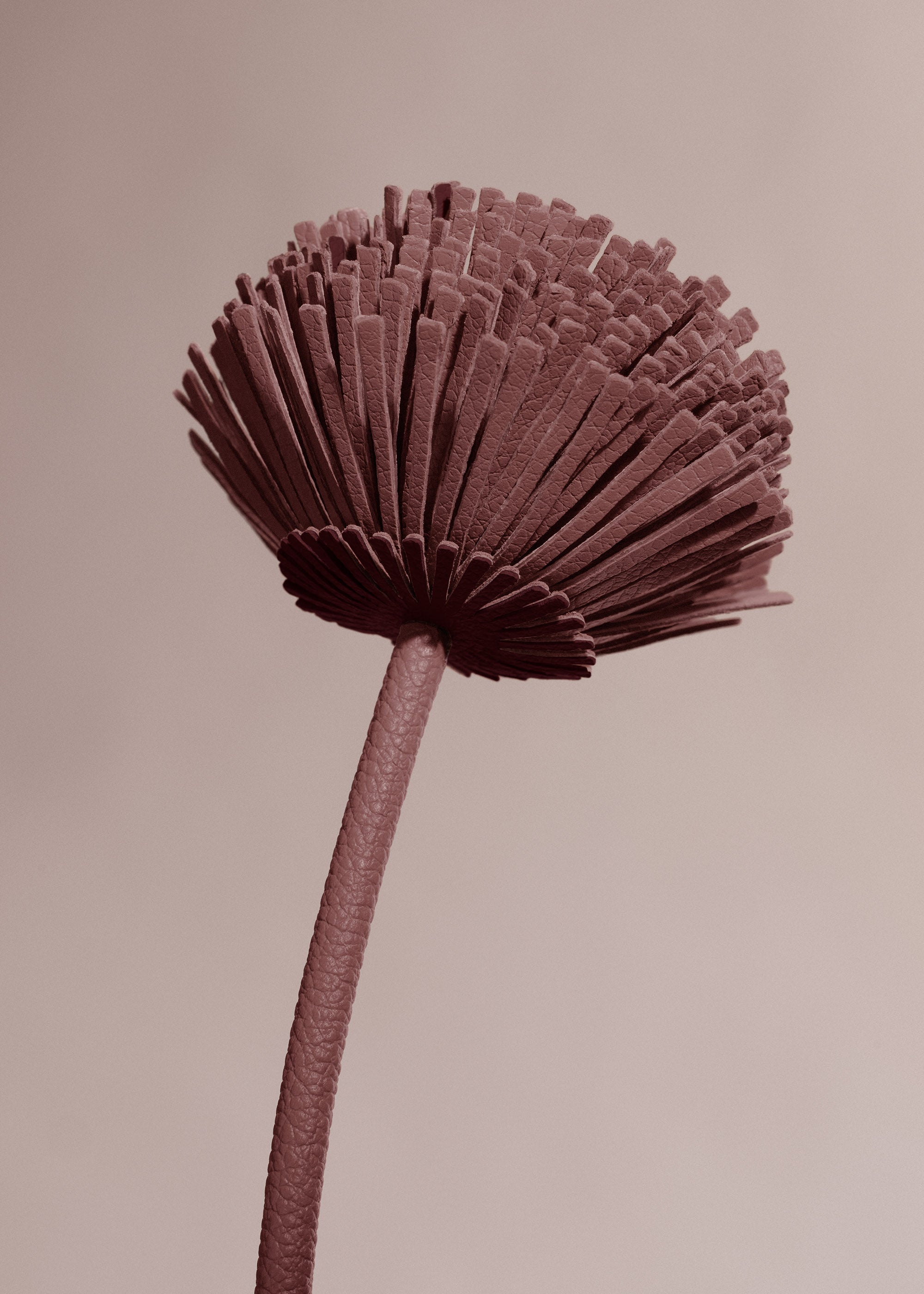 Fleur Tul - Duo Lilas