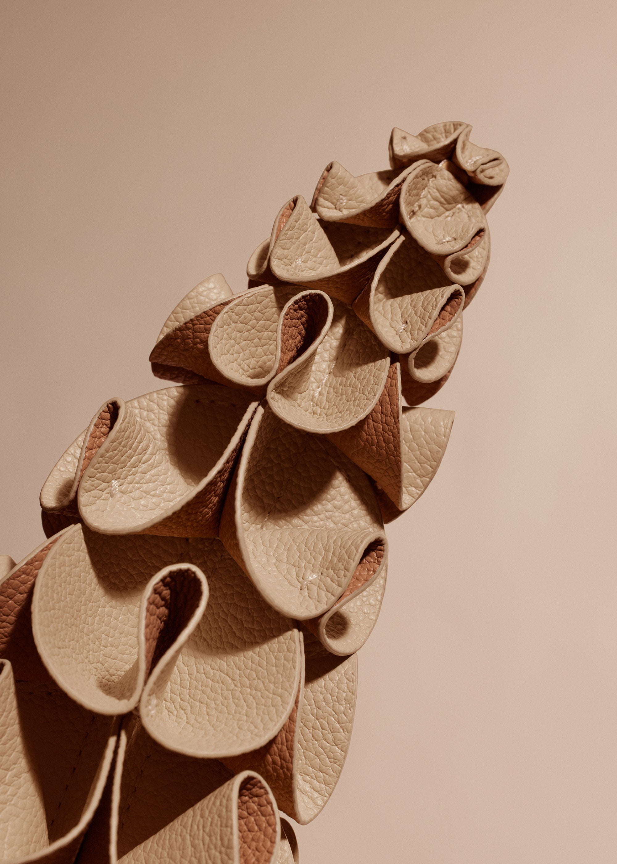 Fleur Orki - Duo Beige