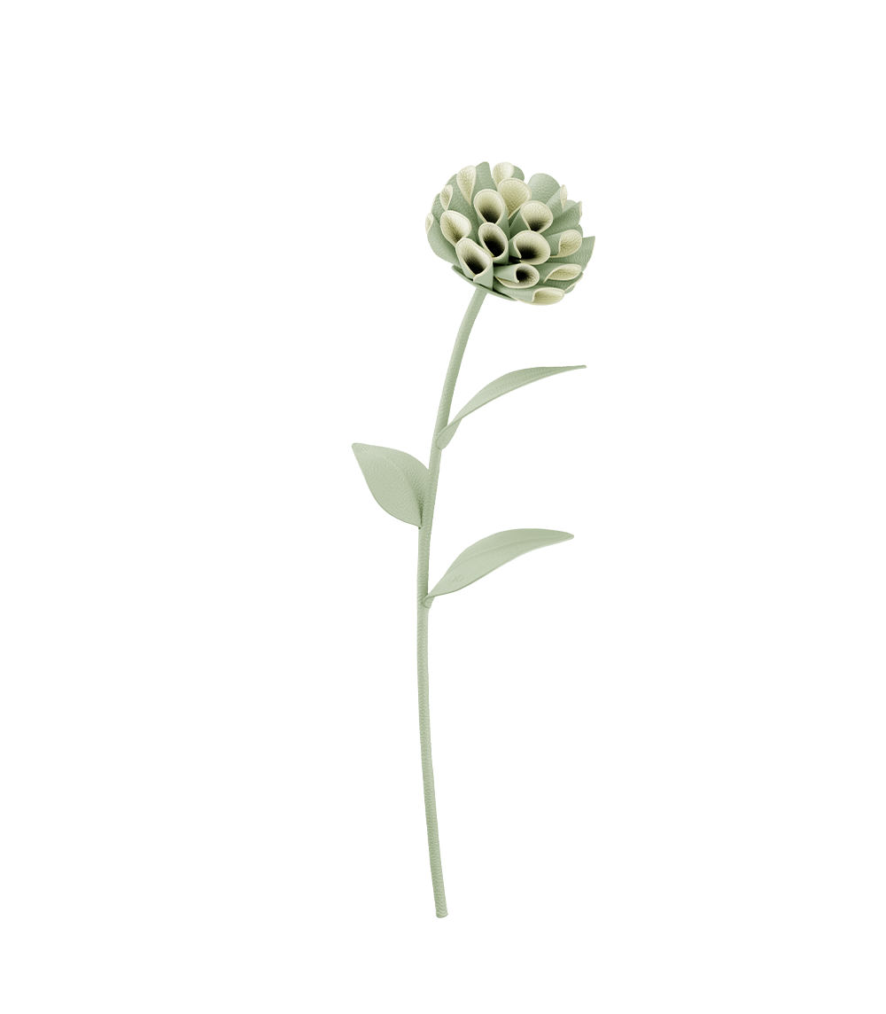 Fleur Dalium - Duo Beige