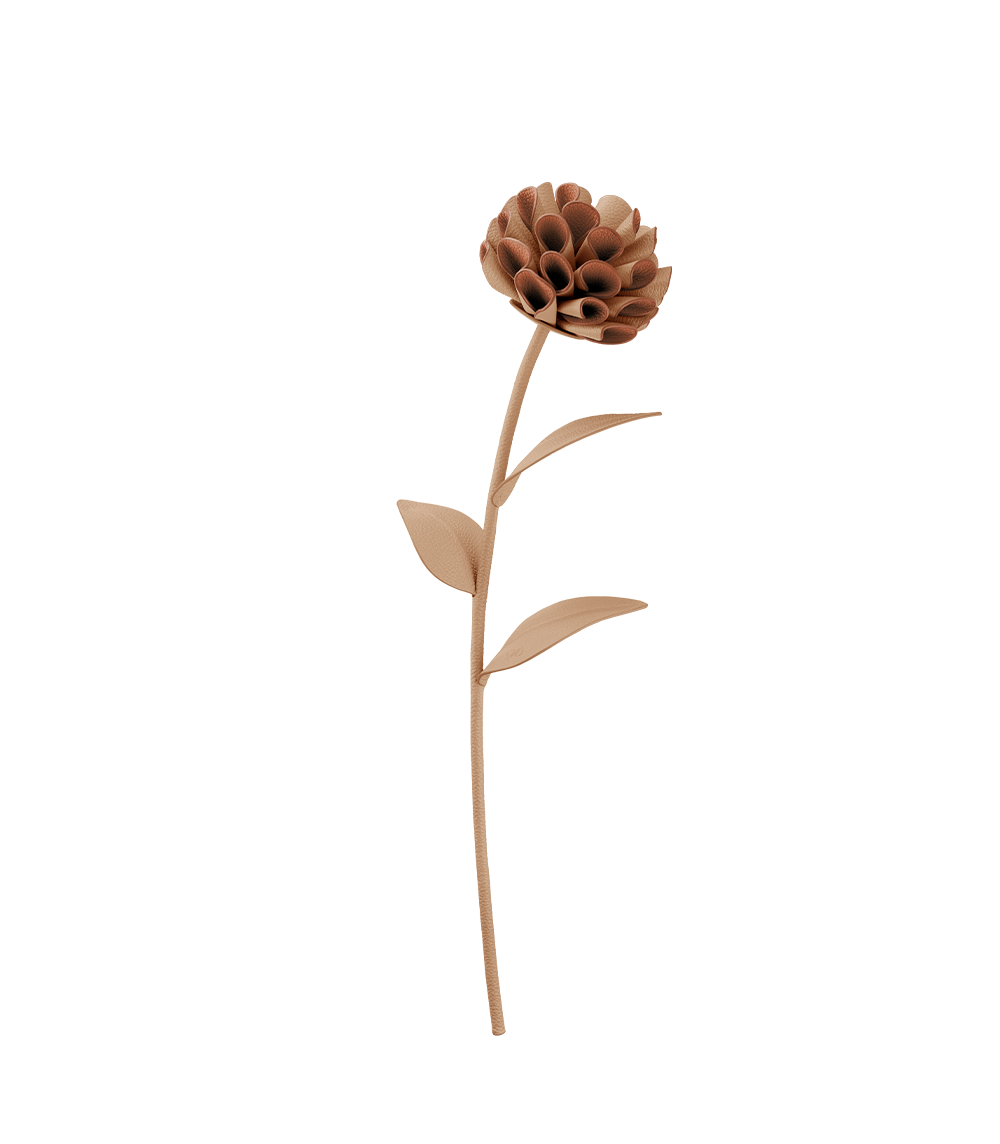 Fleur Dalium - Duo Blé Grainé