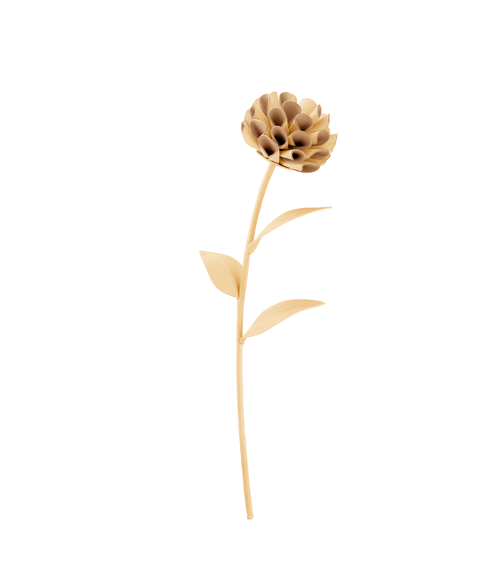 Fleur Dalium - Duo Beige