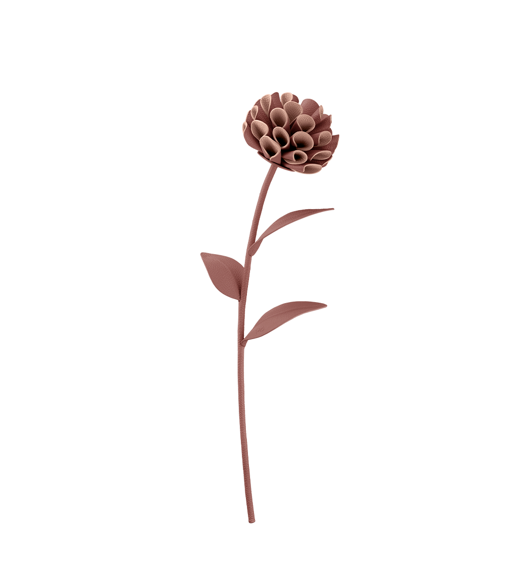Fleur Dalium - Duo Blé Grainé