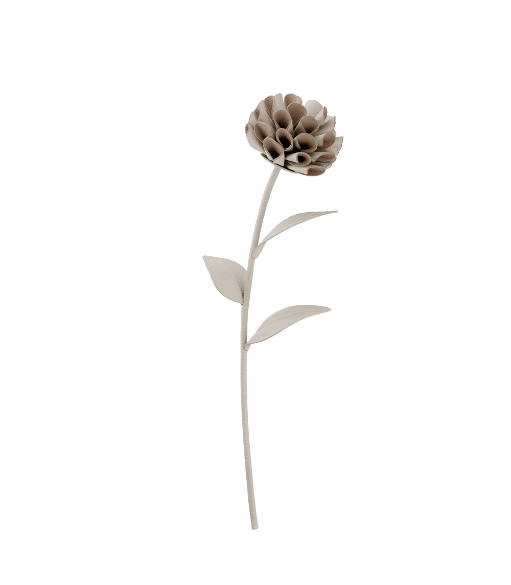 Fleur Dalium - Duo Beige