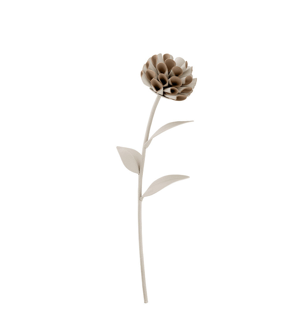 Fleur Dalium - Duo Beige