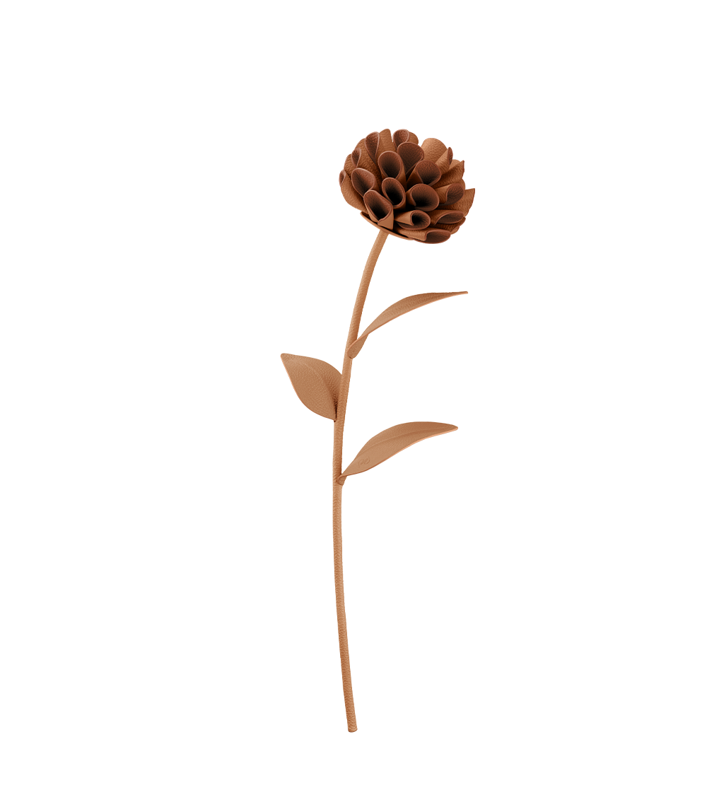 Fleur Dalium - Duo Blé Grainé