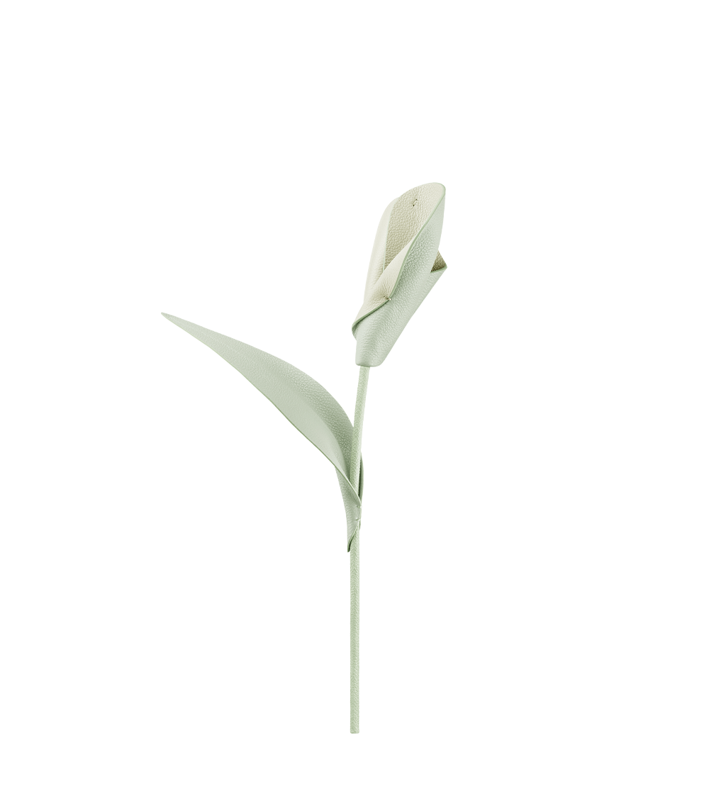 Fleur Pili - Duo Lilas