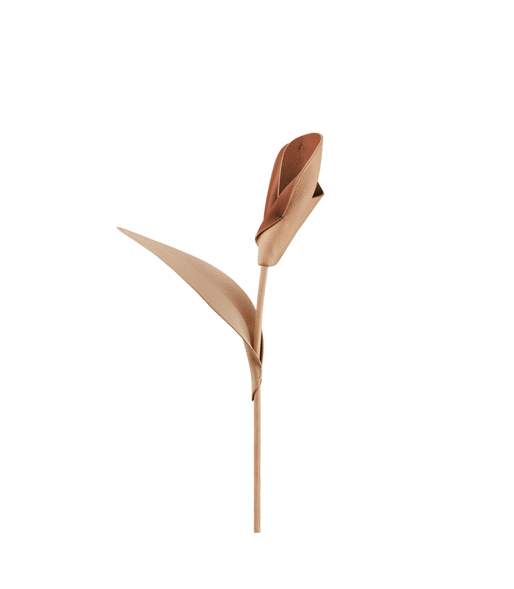 Fleur Pili - Duo Blé Grainé