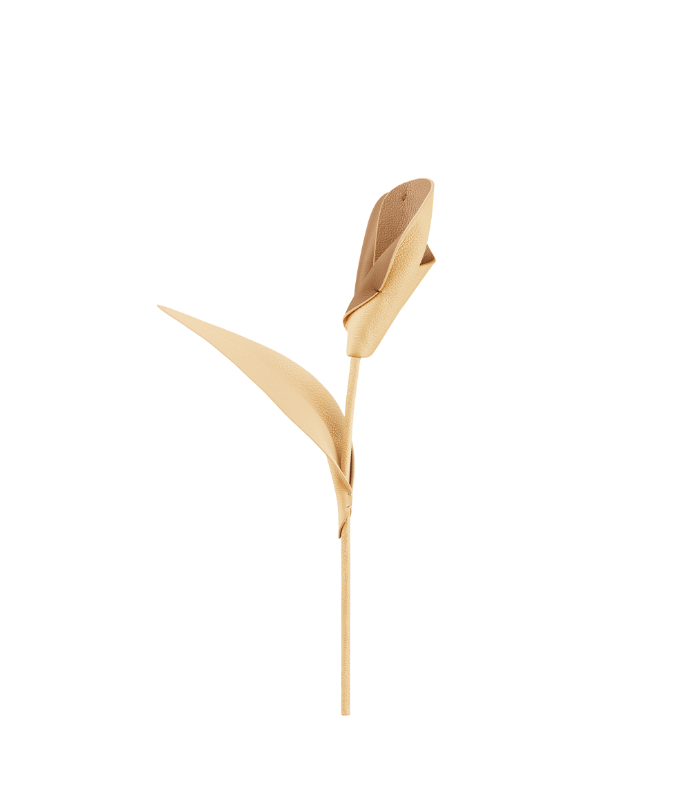 Fleur Pili - Duo Tan Grainé