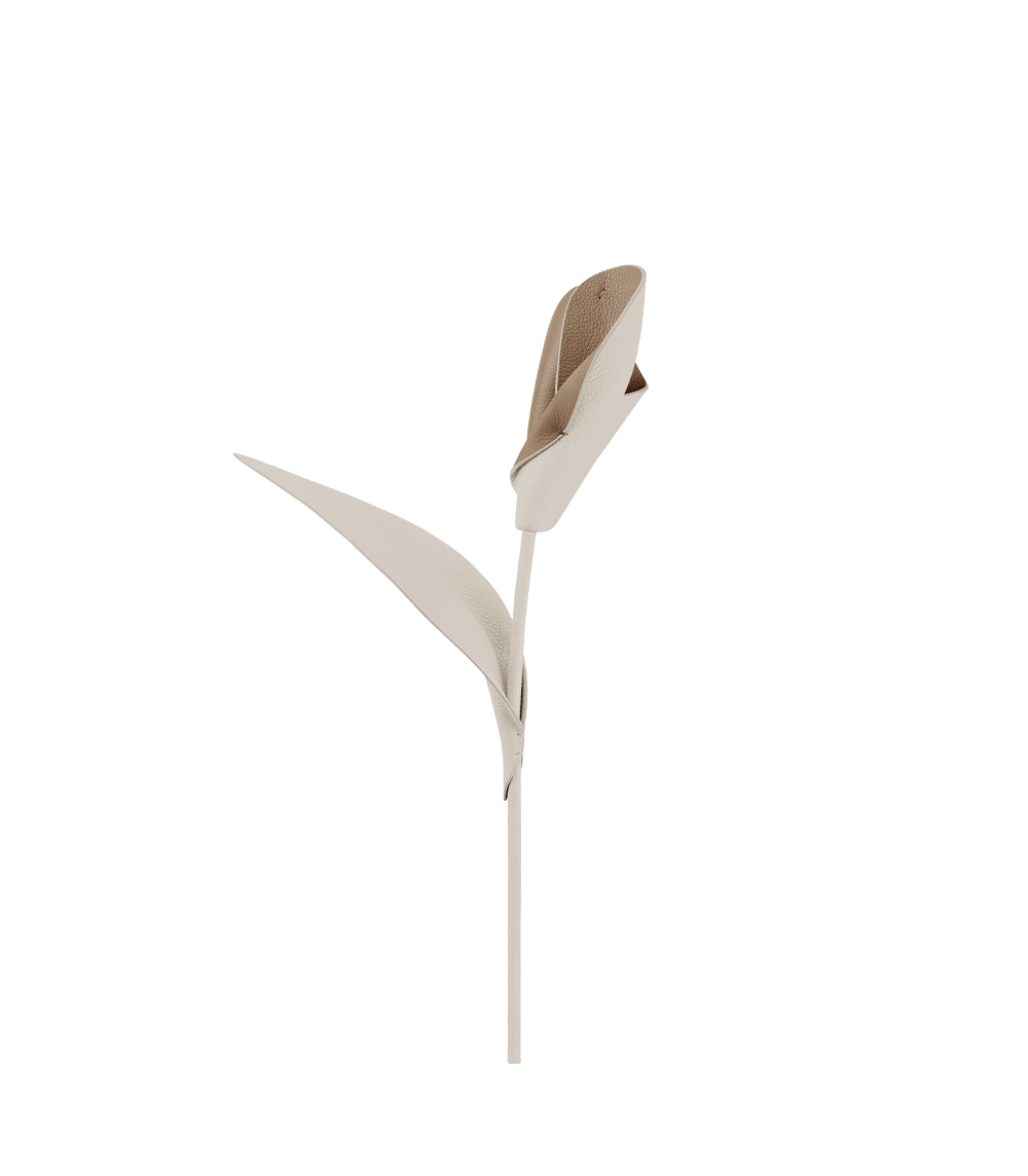 Fleur Pili - Duo Beige
