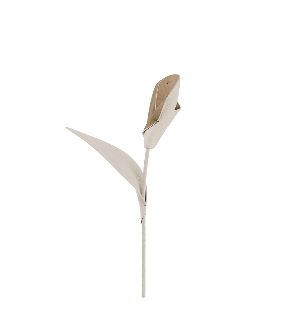 Fleur Pili - Duo Beige