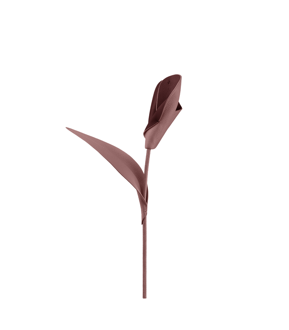 Fleur Pili - Duo Beige