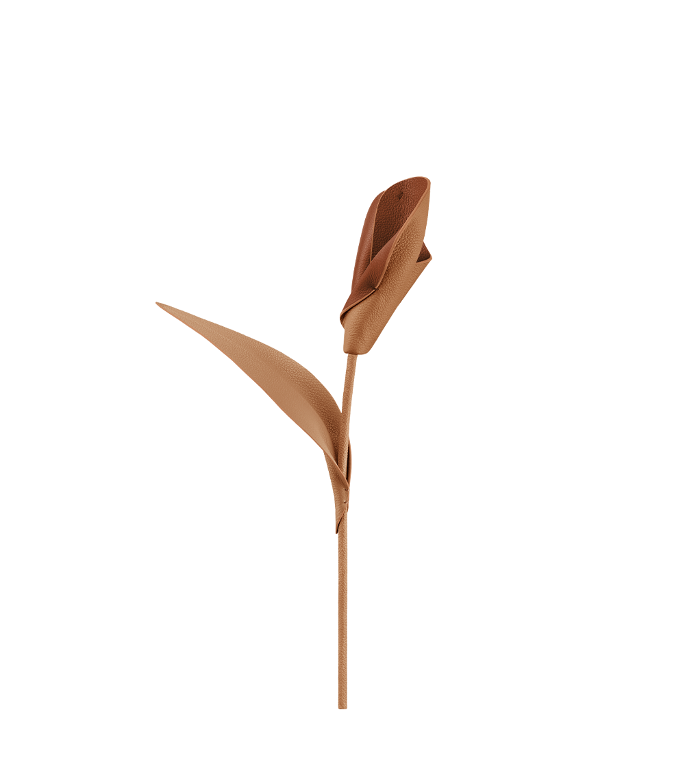 Fleur Pili - Duo Blé Grainé