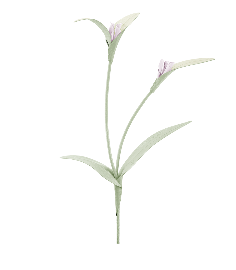 Fleur Touka - Trio Blush Grainé