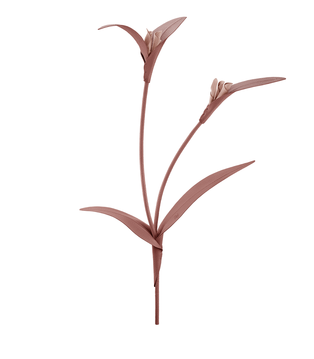 Fleur Touka - Trio Blé Grainé