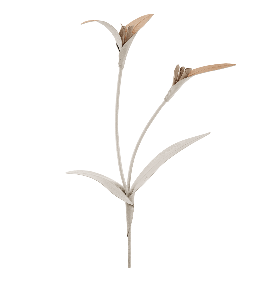 Fleur Touka - Trio Blé Grainé