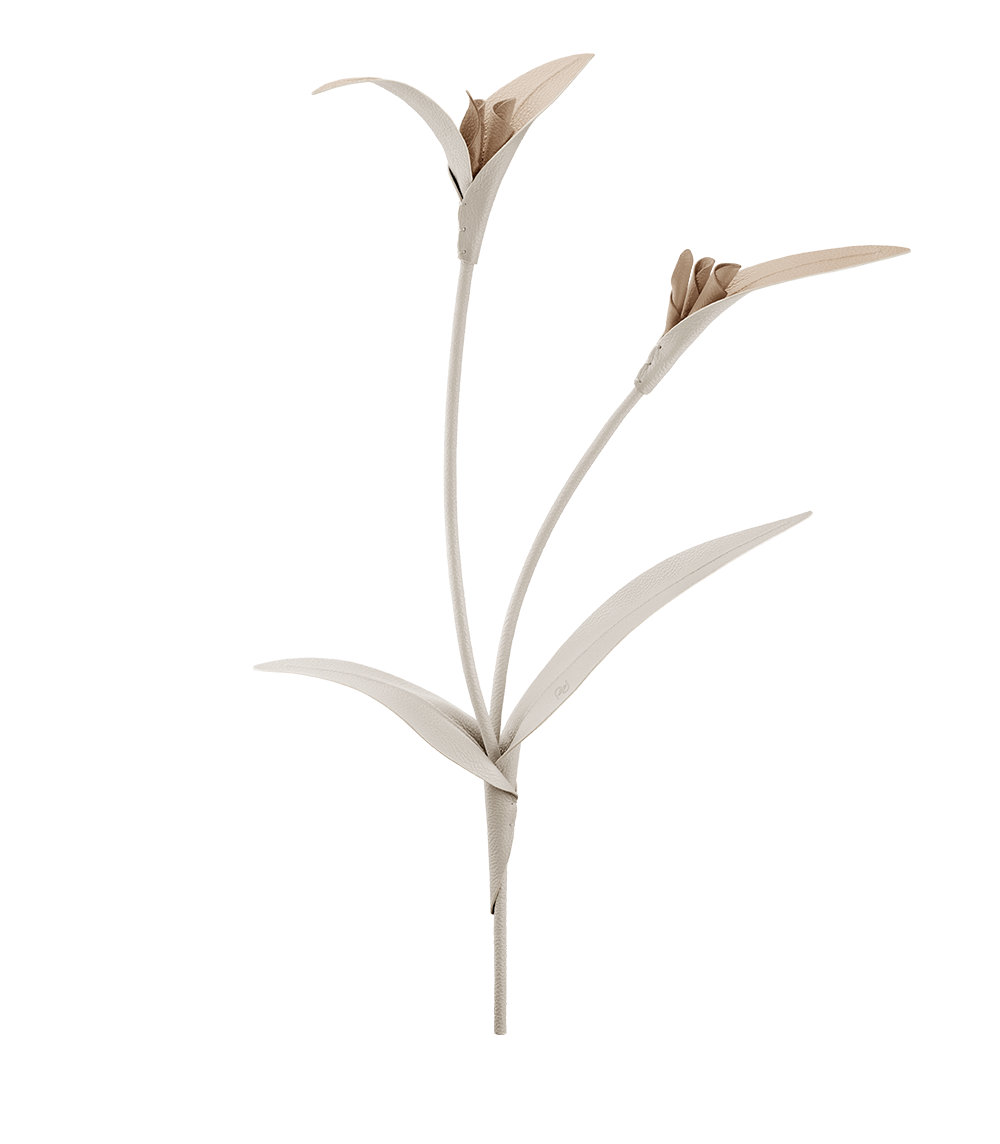 Fleur Touka - Trio Blé Grainé