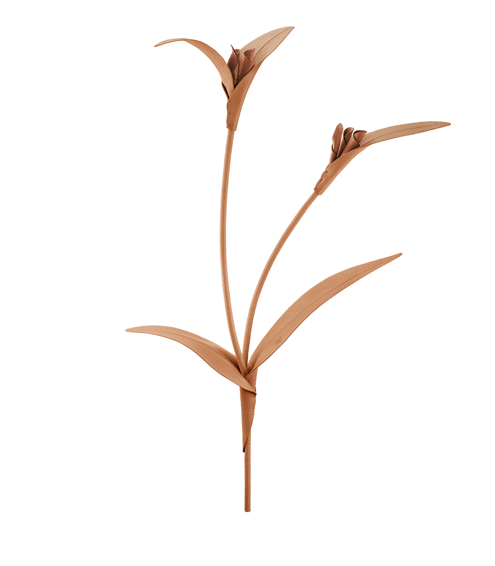 Fleur Touka - Trio Blé Grainé