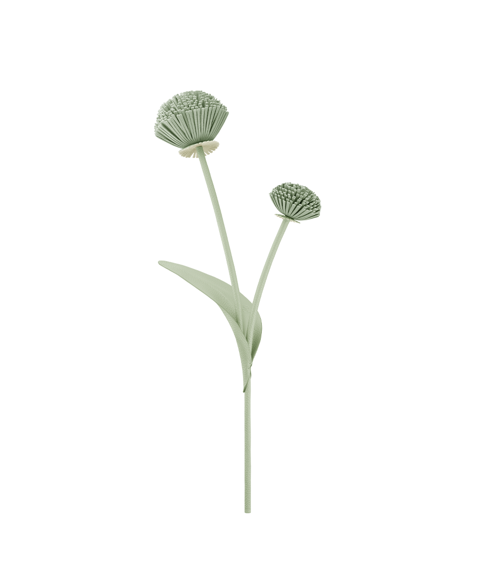 Fleur Tul - Duo Tan Grainé