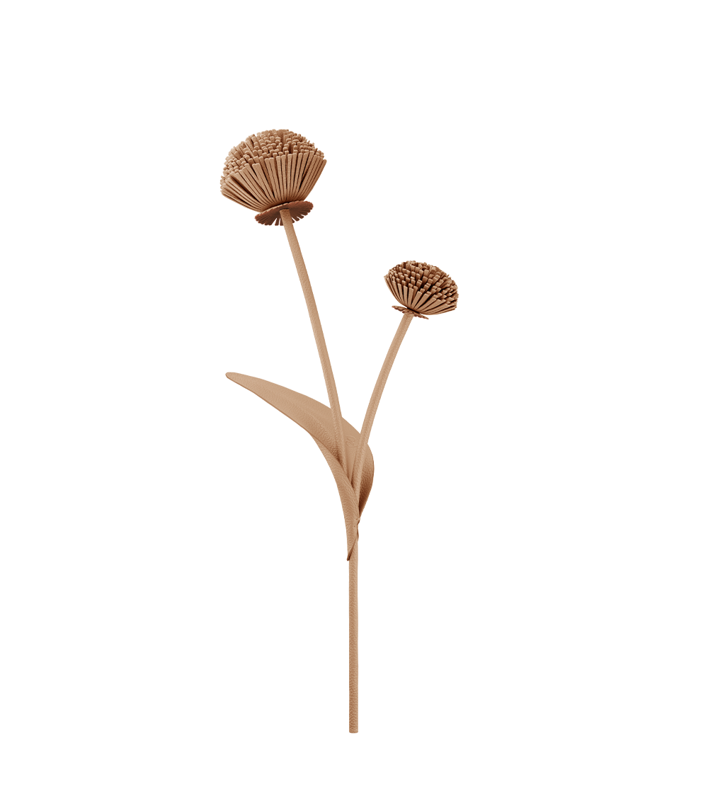 Fleur Tul - Duo Amande Fraîche