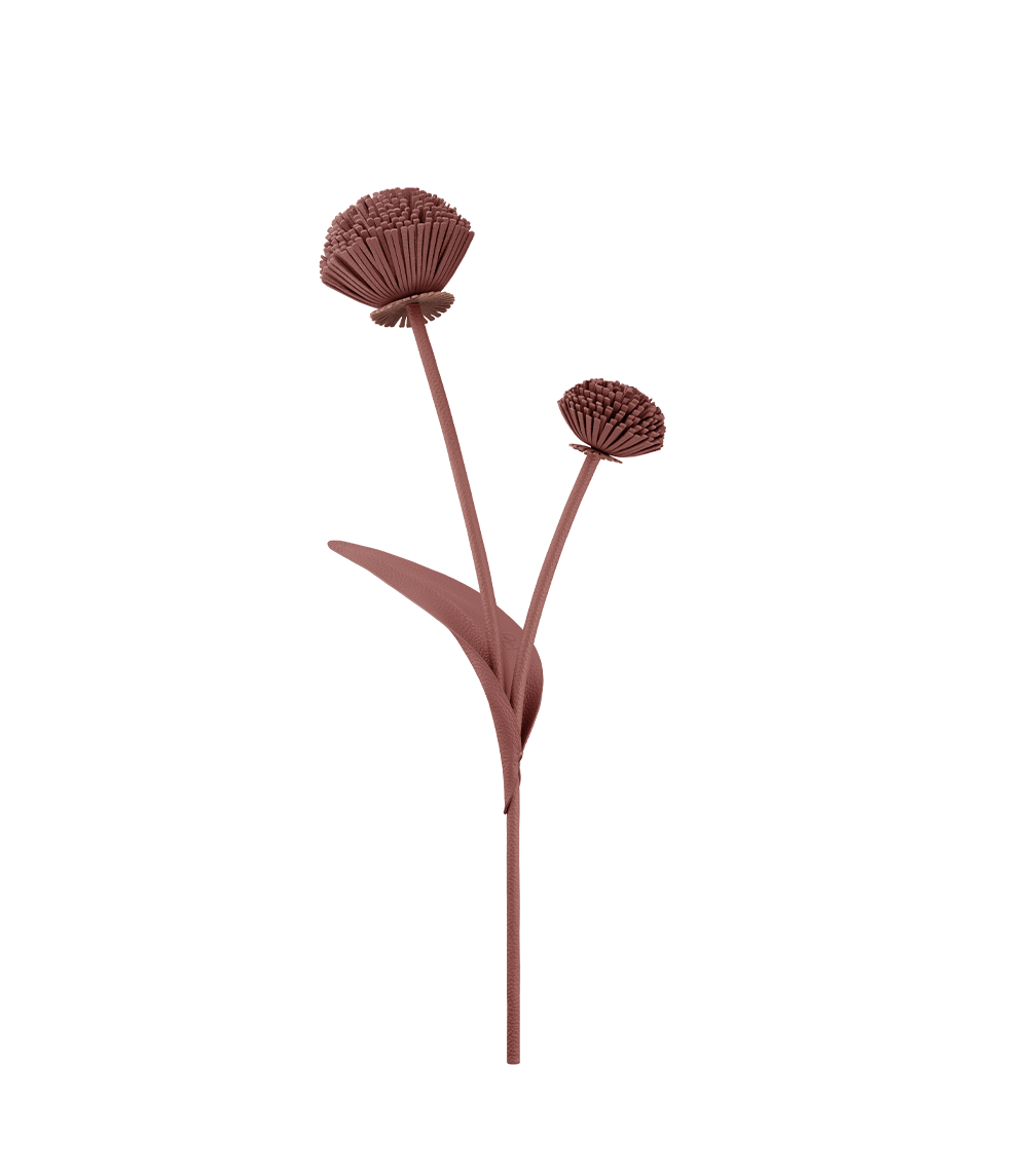 Fleur Tul - Duo Amande Fraîche