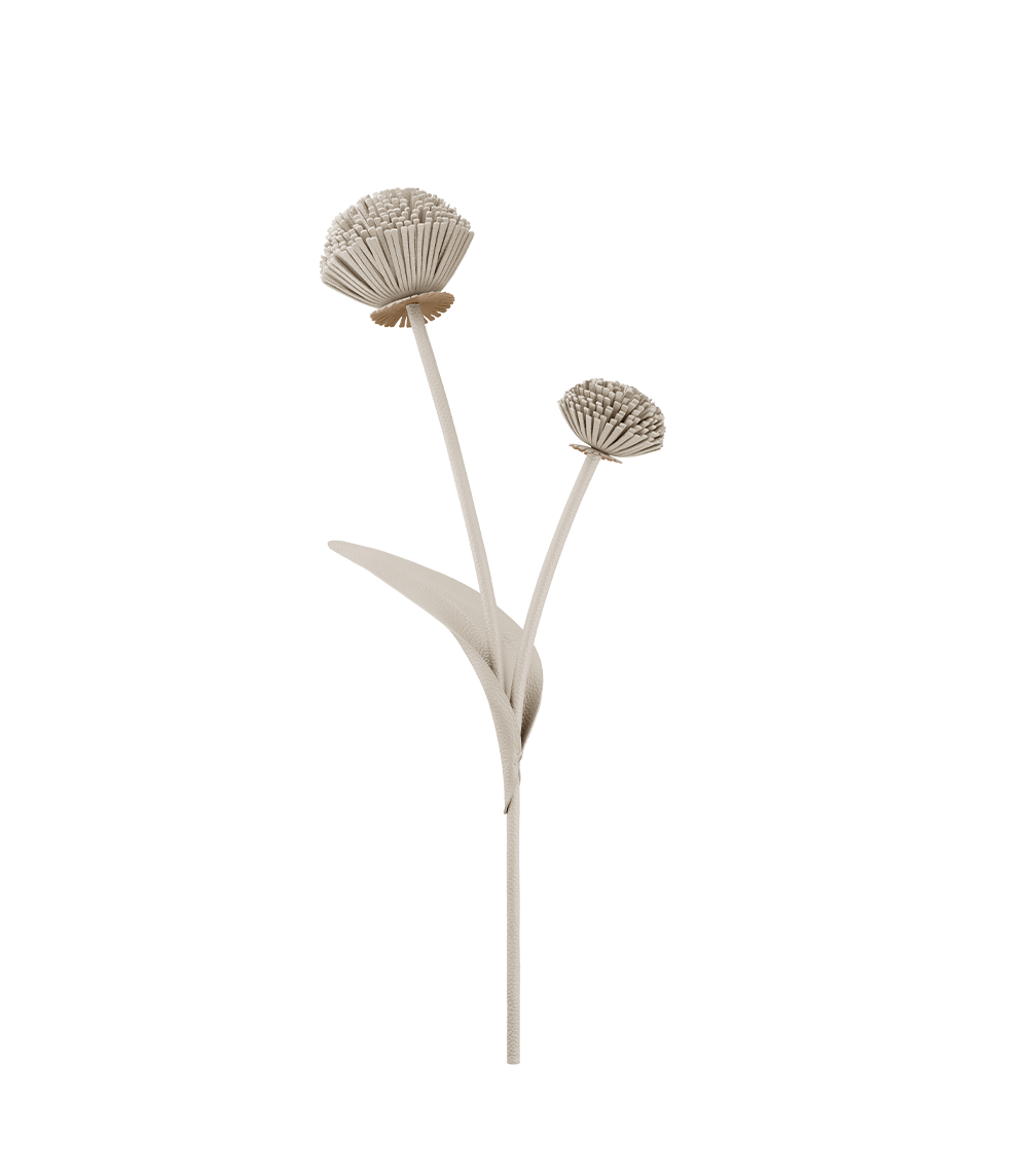 Fleur Tul - Duo Blé Grainé