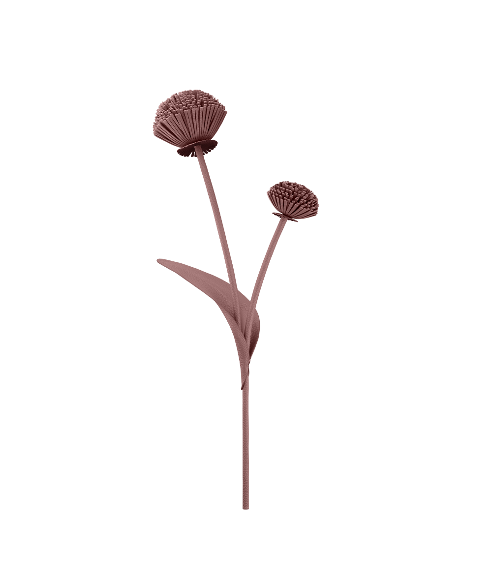 Fleur Tul - Duo Amande Fraîche