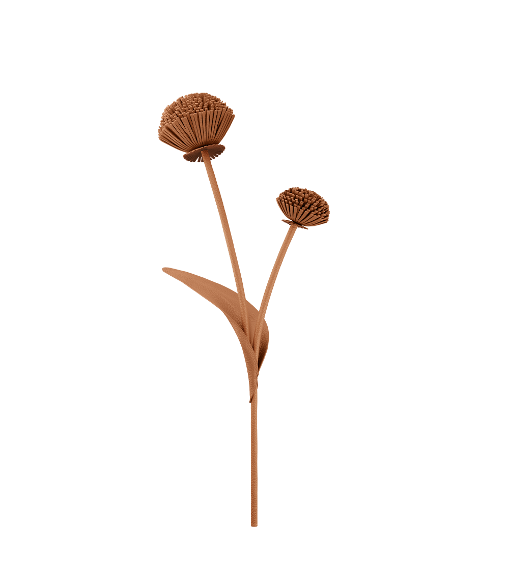 Fleur Tul - Duo Craie Grainé